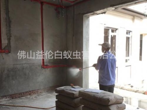 三水裝修預防白蟻工程